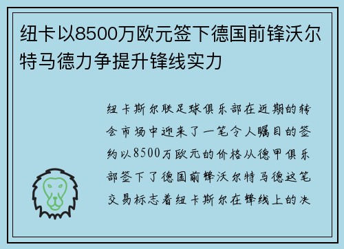 纽卡以8500万欧元签下德国前锋沃尔特马德力争提升锋线实力